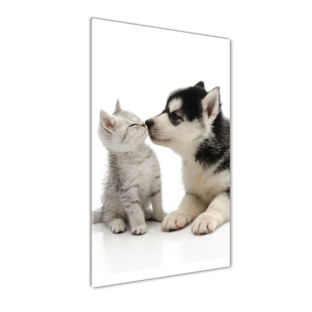 Foto obraz akryl pionowy Pies i kot