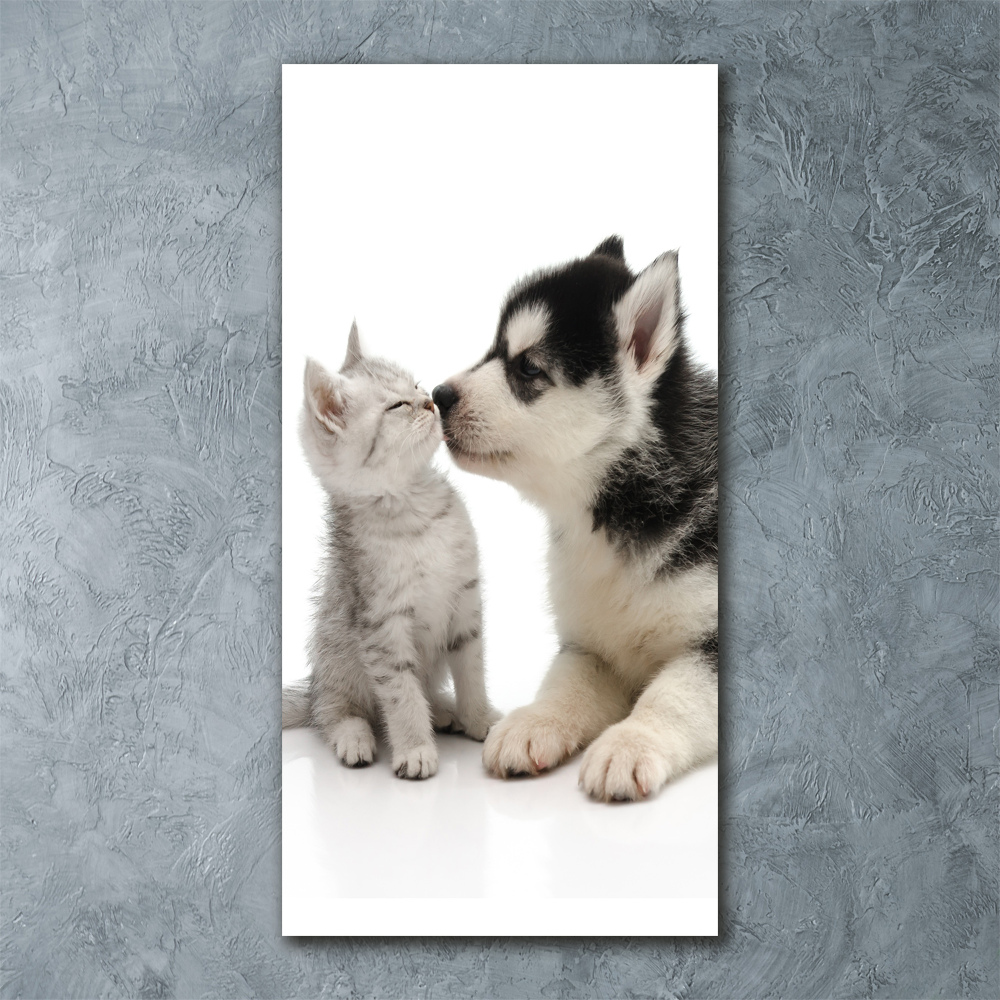 Foto obraz akryl pionowy Pies i kot
