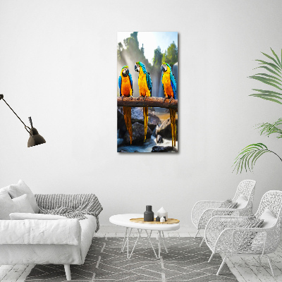 Foto obraz na ścianę akryl pionowy Papugi Ary