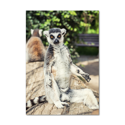 Foto obraz akryl pionowy Lemur