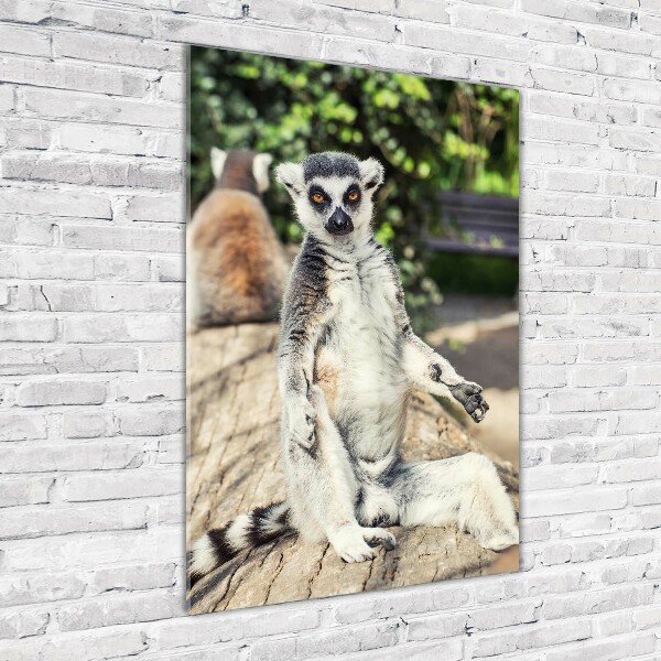 Foto obraz akryl pionowy Lemur