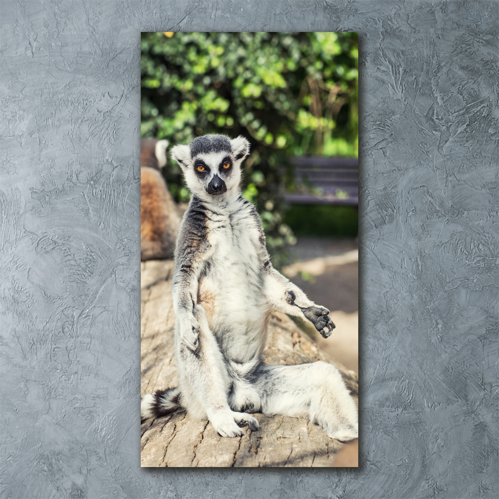 Foto obraz akryl pionowy Lemur