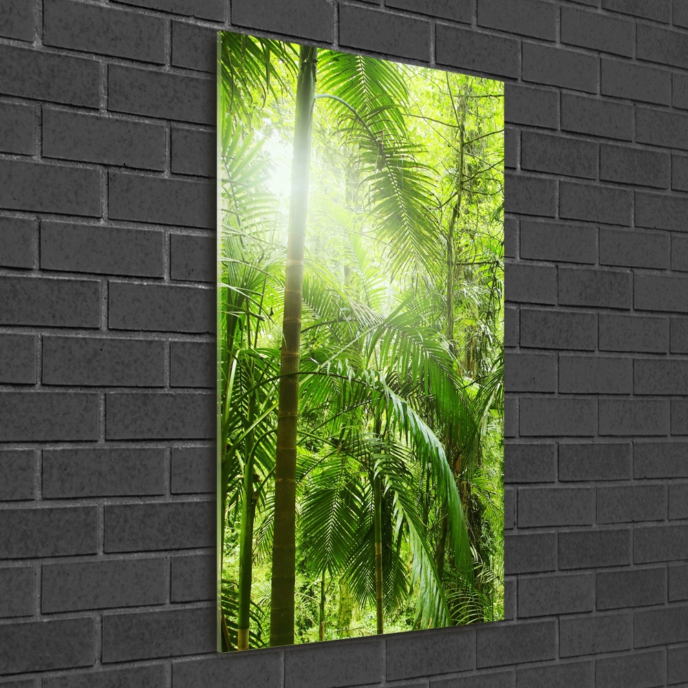 Foto obraz szkło akryl pionowy Las deszczowy