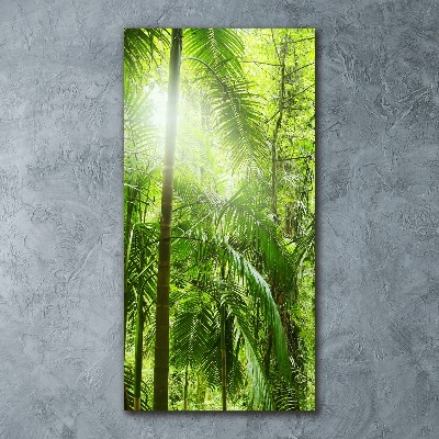 Foto obraz szkło akryl pionowy Las deszczowy