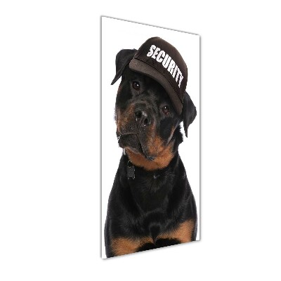 Foto obraz na ścianę akryl pionowy Rottweiler w czapce