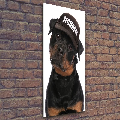 Foto obraz na ścianę akryl pionowy Rottweiler w czapce