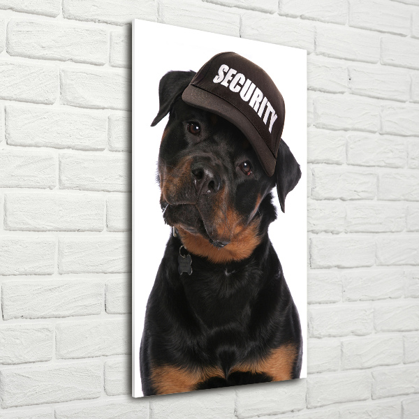 Foto obraz na ścianę akryl pionowy Rottweiler w czapce