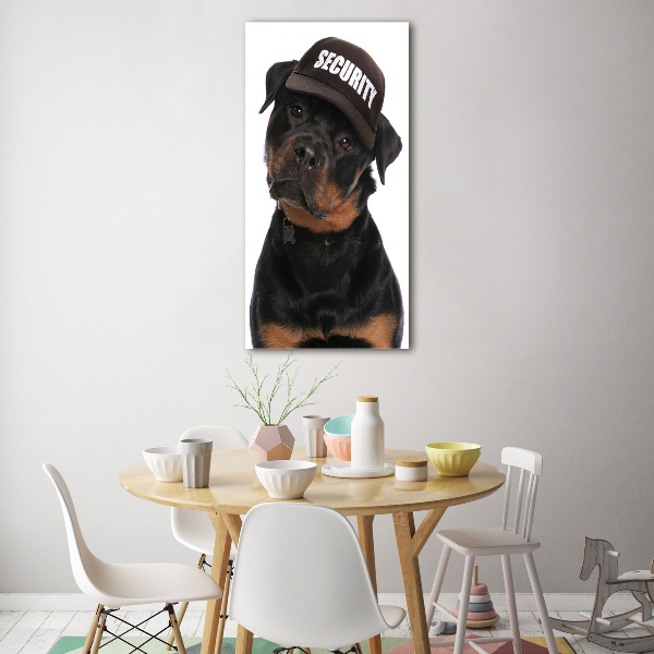 Foto obraz na ścianę akryl pionowy Rottweiler w czapce