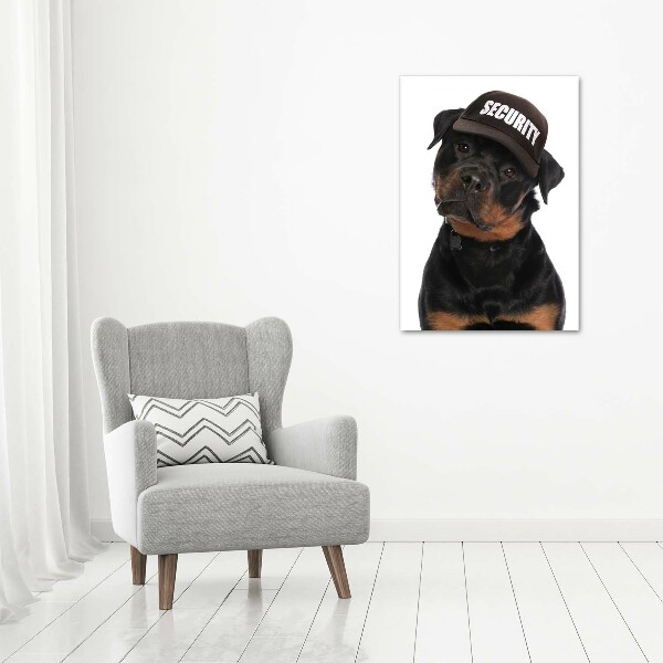 Foto obraz na ścianę akryl pionowy Rottweiler w czapce