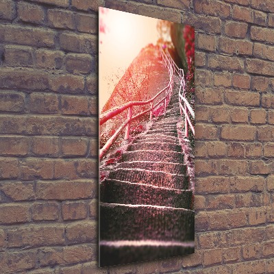 Foto obraz szkło akryl pionowy Schody w górach