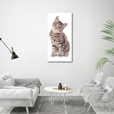 Foto obraz szkło akryl pionowy Kot