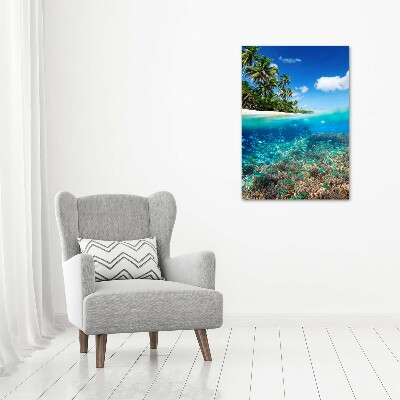 Foto obraz akryl pionowy Rafa koralowa