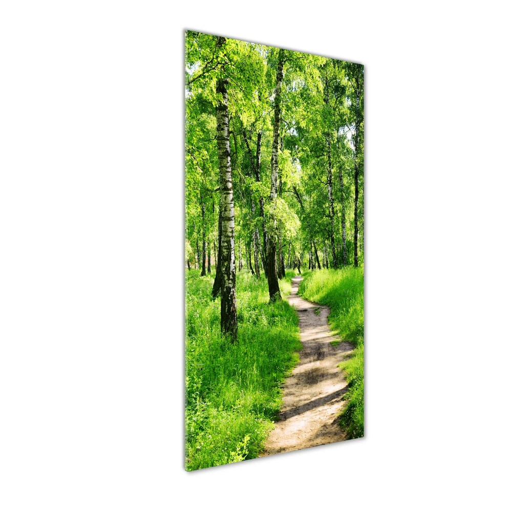 Foto obraz akryl pionowy Las brzozowy