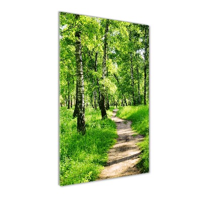 Foto obraz akryl pionowy Las brzozowy
