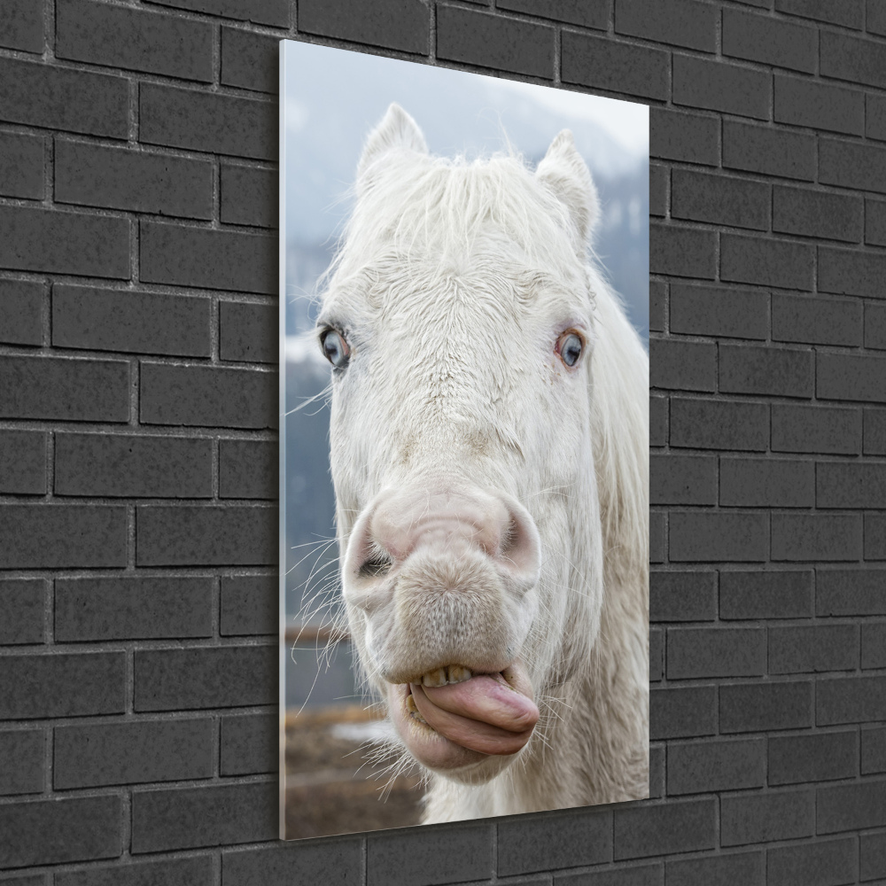 Foto obraz szkło akryl pionowy Szalony biały koń