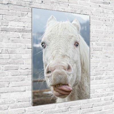 Foto obraz szkło akryl pionowy Szalony biały koń
