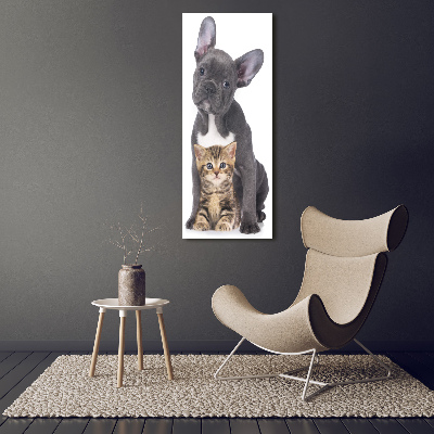 Foto obraz szkło akryl pionowy Pies i kot