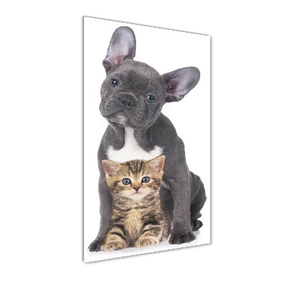 Foto obraz szkło akryl pionowy Pies i kot