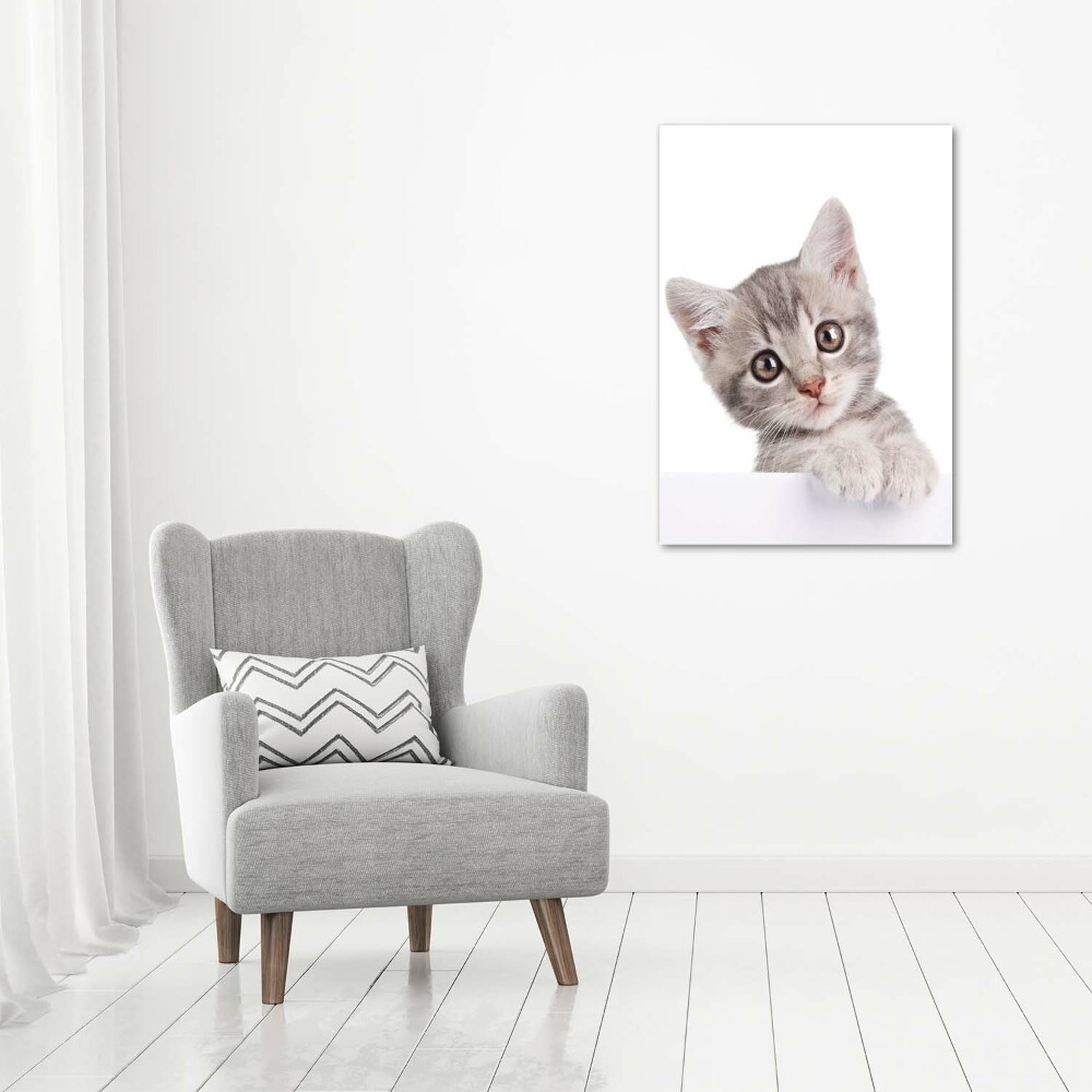 Foto obraz szkło akryl pionowy Szary kot