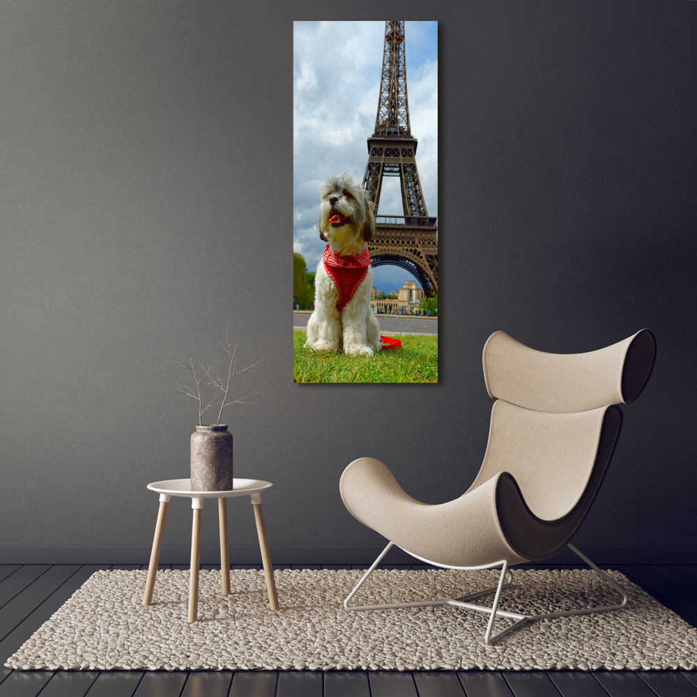 Foto obraz na scianę akrylowy pionowy Pies w Paryżu