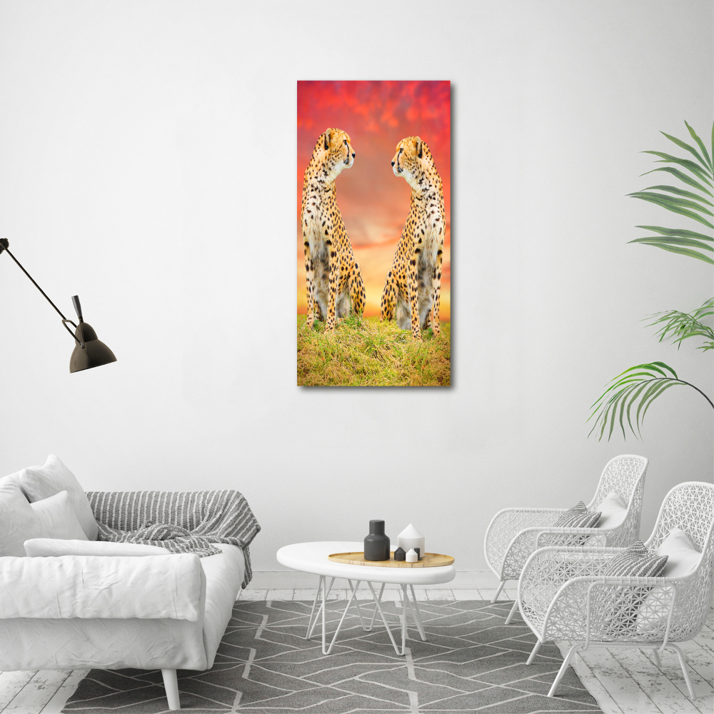 Foto obraz akryl pionowy Dwa gepardy