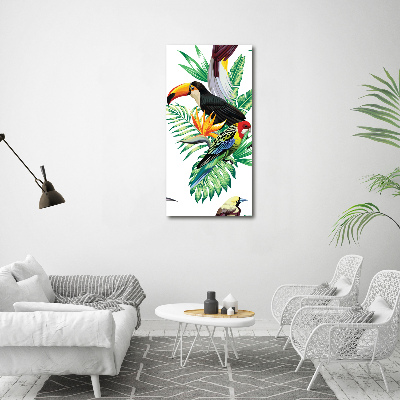 Obraz zdjęcie akryl pionowy Tropikalne ptaki
