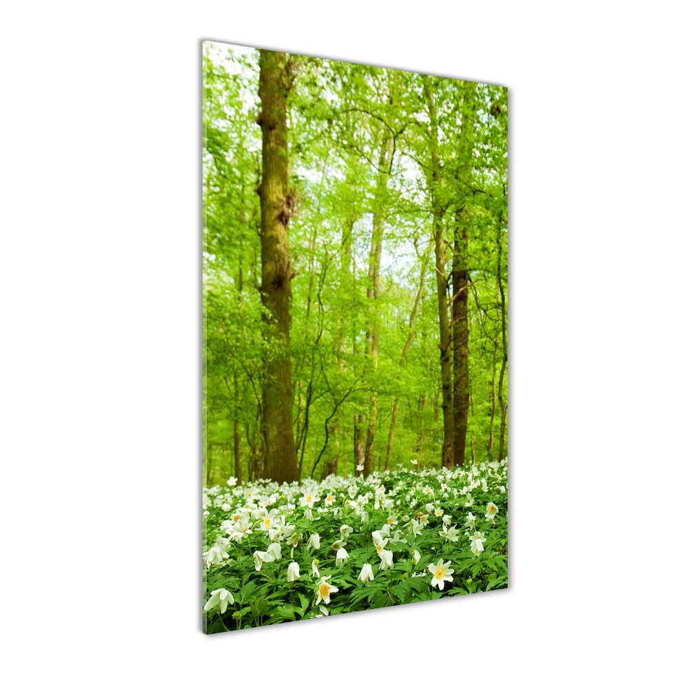 Foto obraz szkło akryl pionowy Kwiaty w lesie