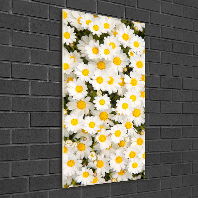 Obraz zdjęcie na ścianę akryl pionowy Kwiaty stokrotki