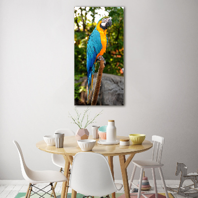 Foto obraz duży na scianę akrylowy pionowy Papuga Ara