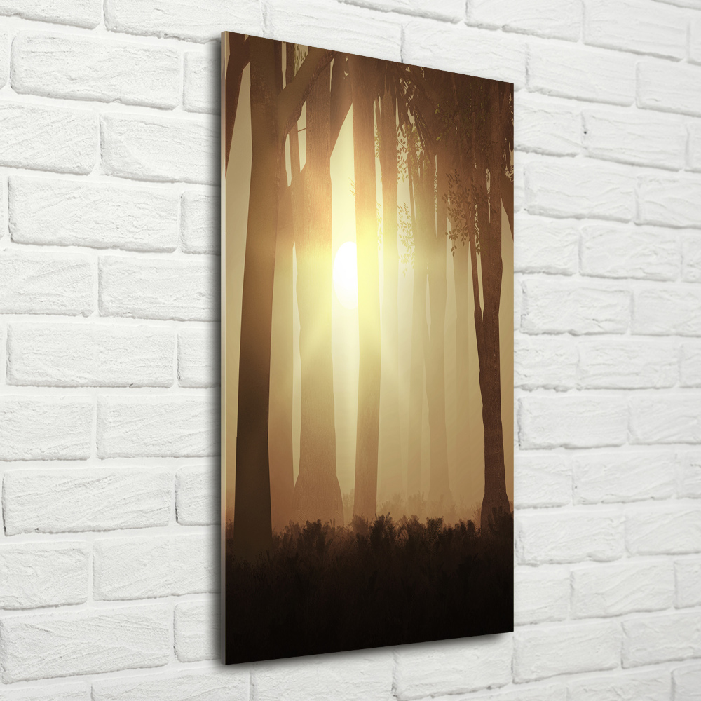 Foto obraz szkło akryl pionowy Mgłą w lesie