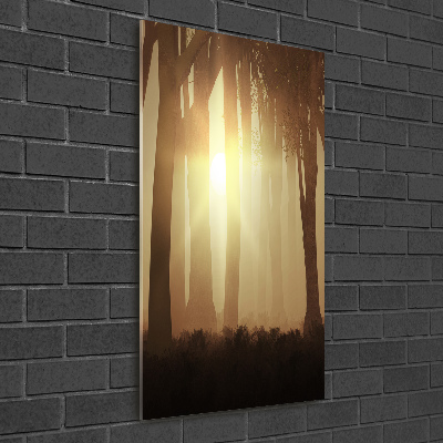Foto obraz szkło akryl pionowy Mgłą w lesie