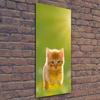 Foto obraz na ścianę akryl pionowy Rudy kot