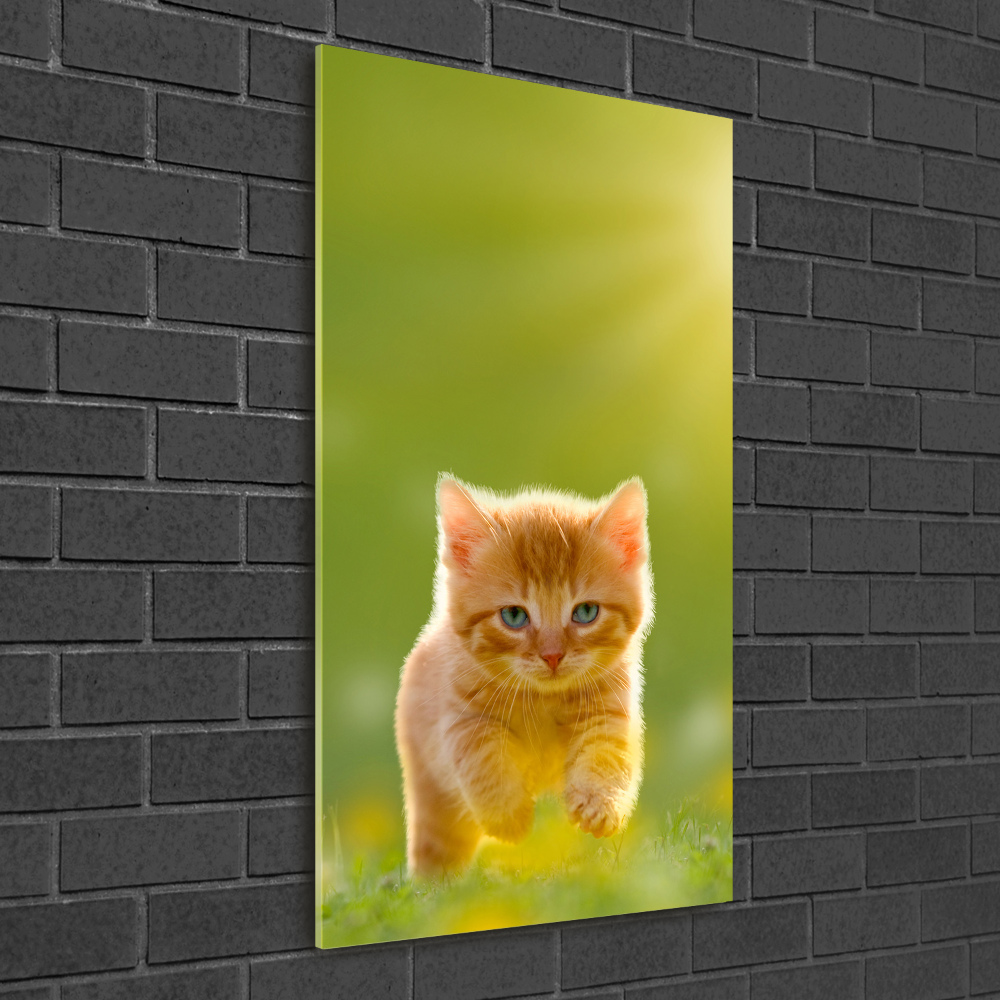 Foto obraz na ścianę akryl pionowy Rudy kot