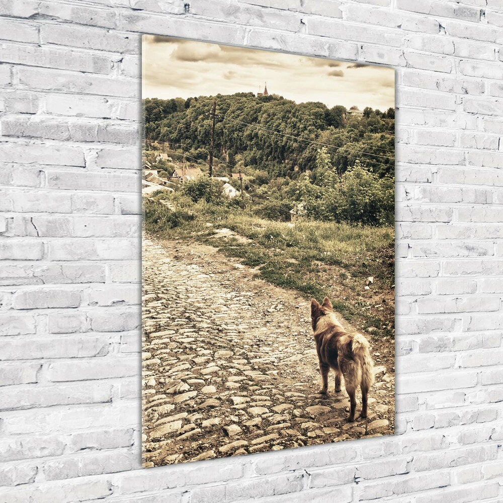 Foto obraz szkło akryl pionowy Dwa psy wzgórza