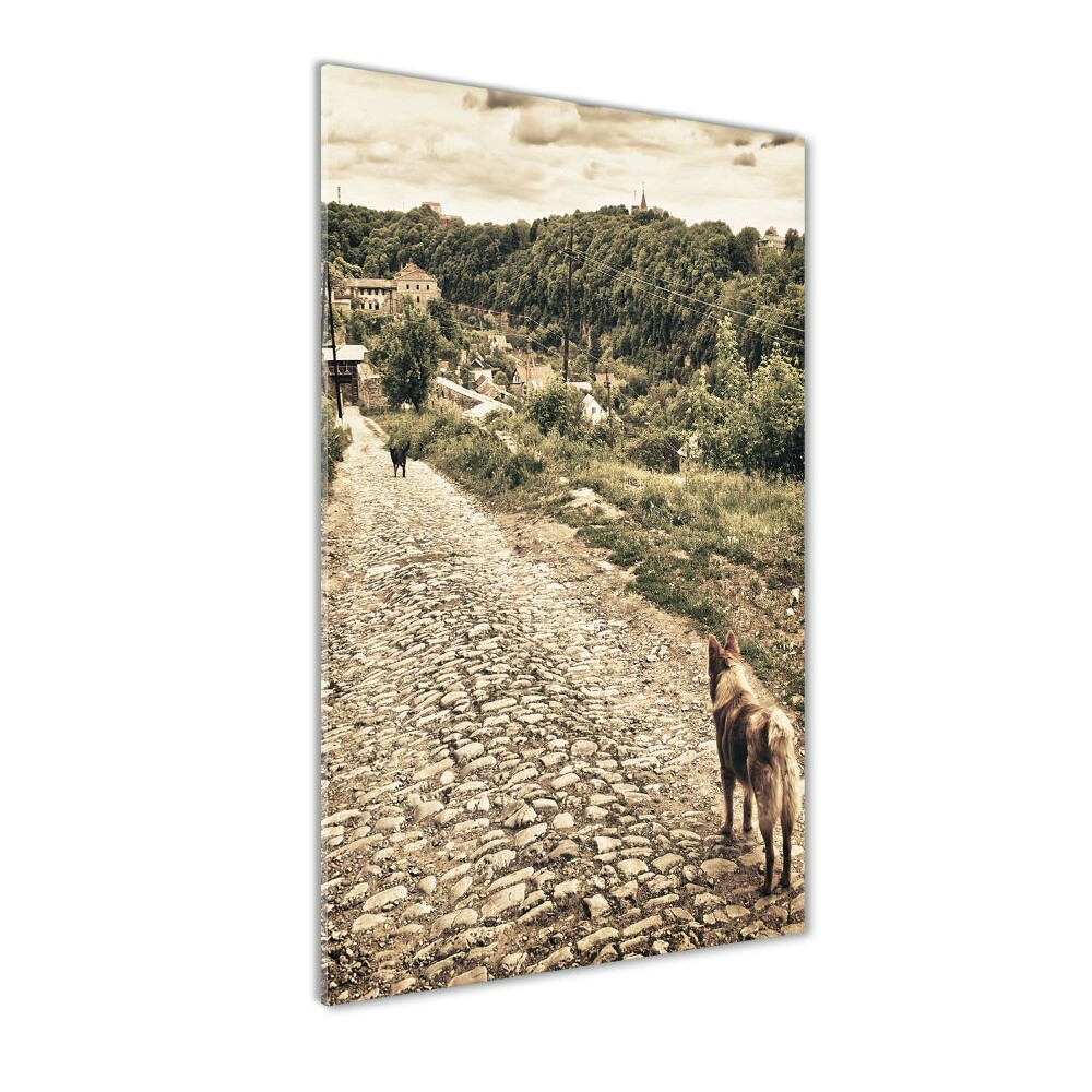 Foto obraz szkło akryl pionowy Dwa psy wzgórza