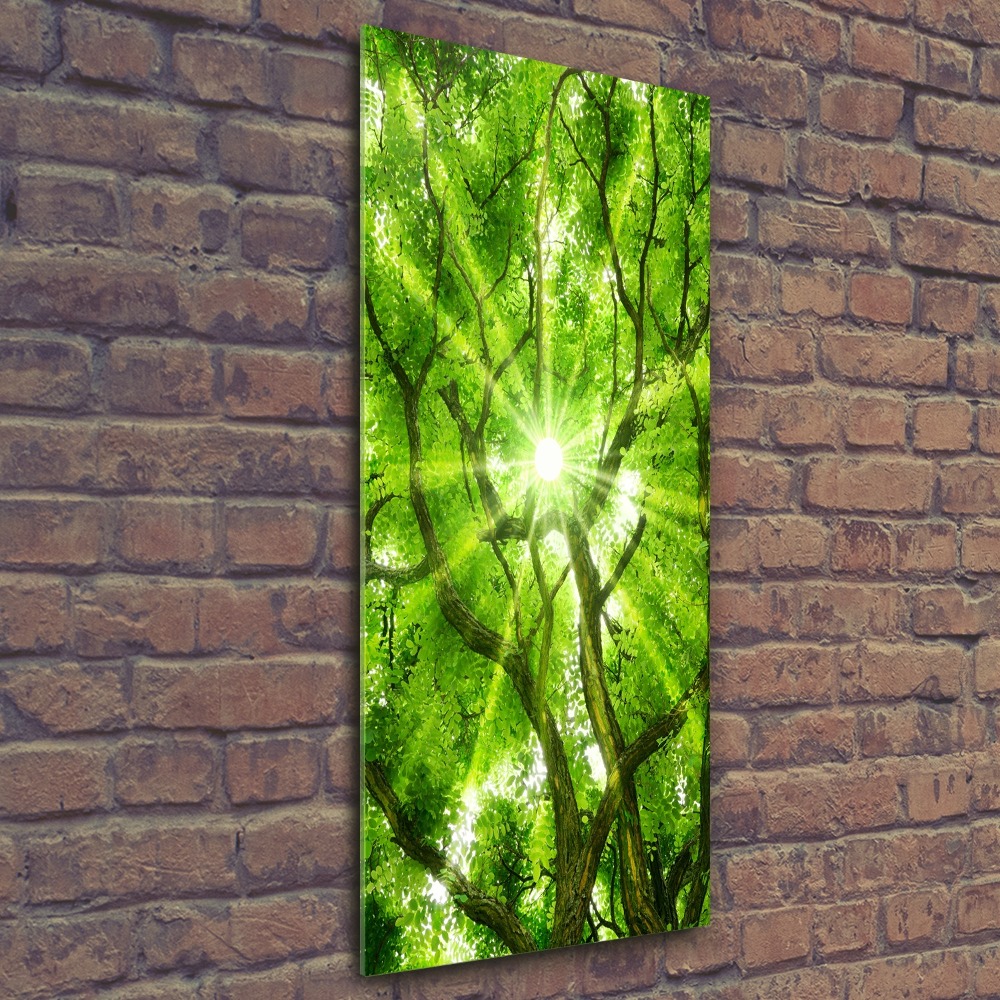 Obraz zdjęcie na ścianę akryl pionowy Korona drzew