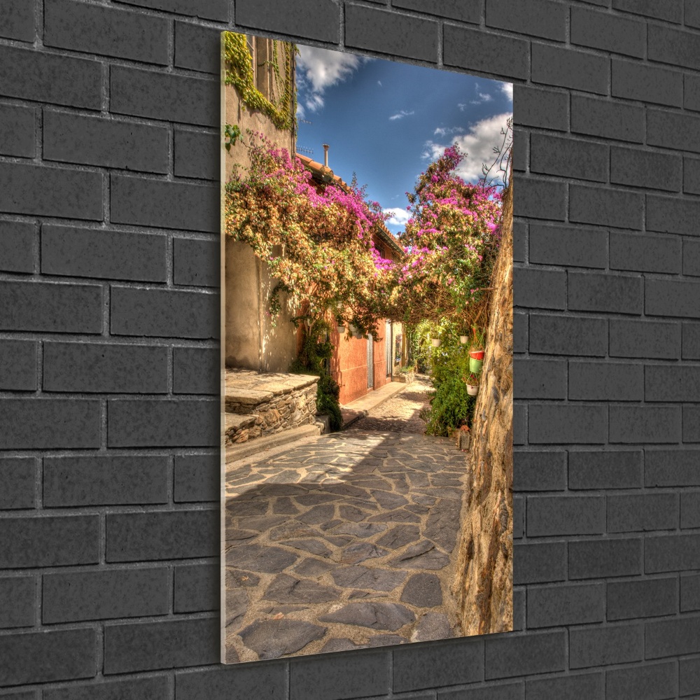 Foto obraz szkło akryl pionowy Francuskie uliczki