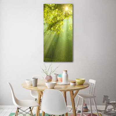 Foto obraz szkło akryl pionowy Słońce w lesie