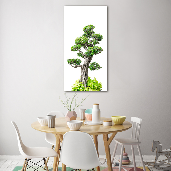 Obraz zdjęcie szkło akryl pionowy Drzewo bonsai