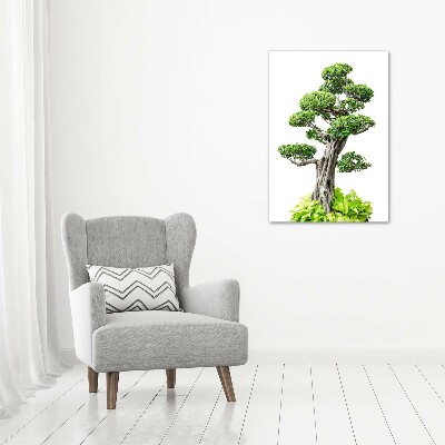 Obraz zdjęcie szkło akryl pionowy Drzewo bonsai