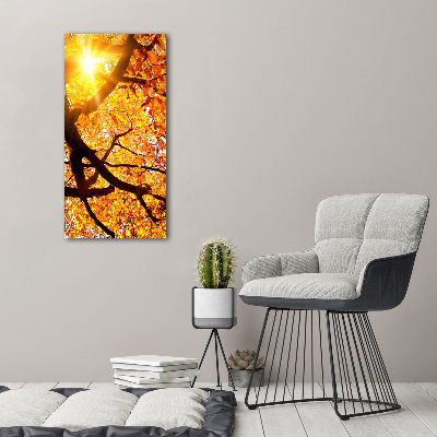 Foto obraz akryl pionowy Jesienne drzewo