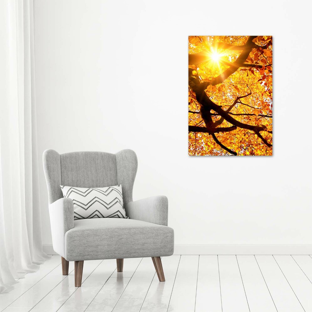 Foto obraz akryl pionowy Jesienne drzewo