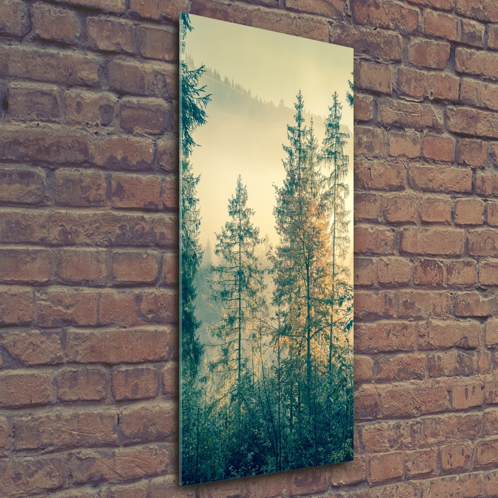 Foto obraz szkło akryl pionowy Mgła nad lasem