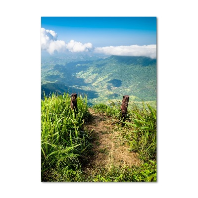 Foto obraz szkło akryl pionowy Górski szlak