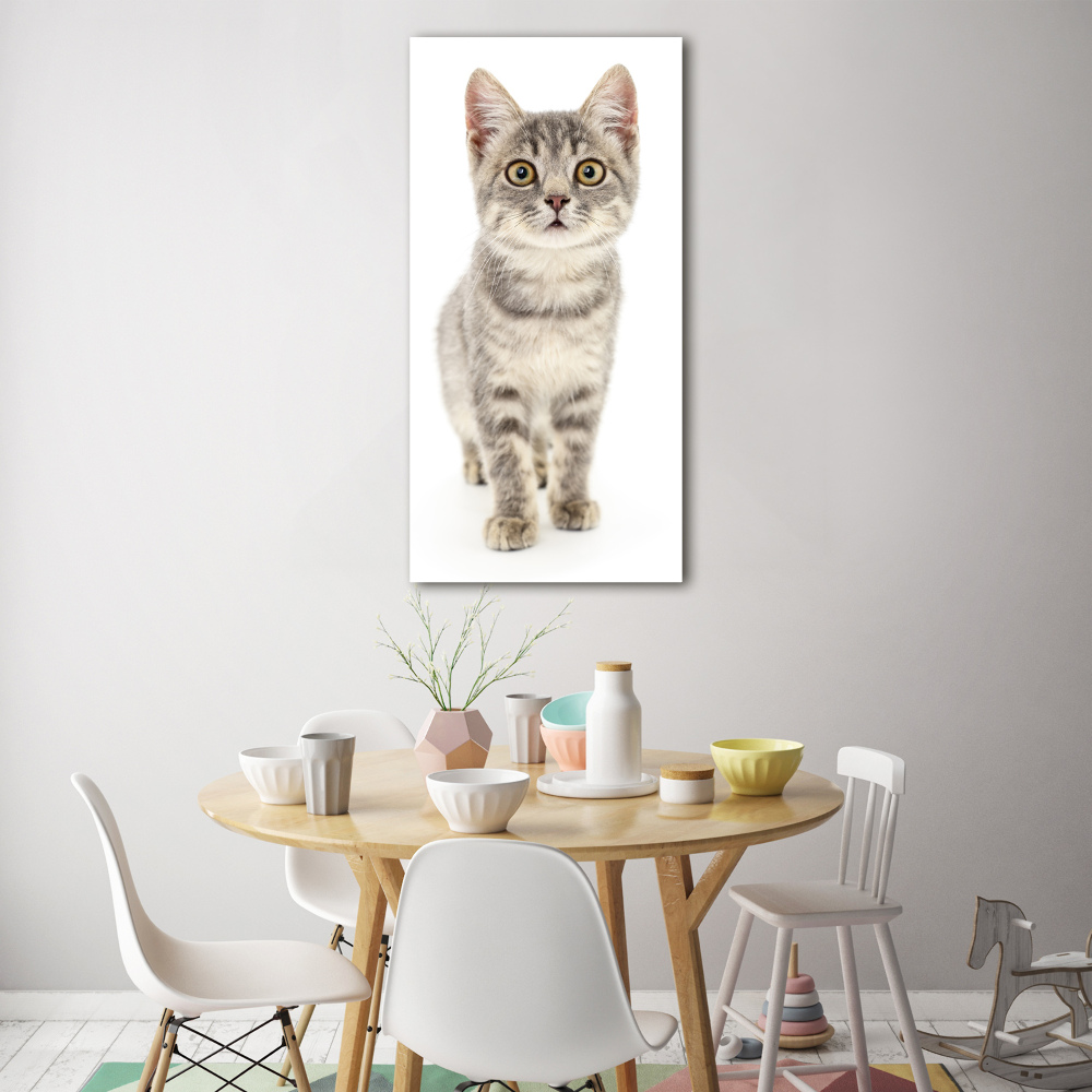 Foto obraz na scianę akrylowy pionowy Szary kot