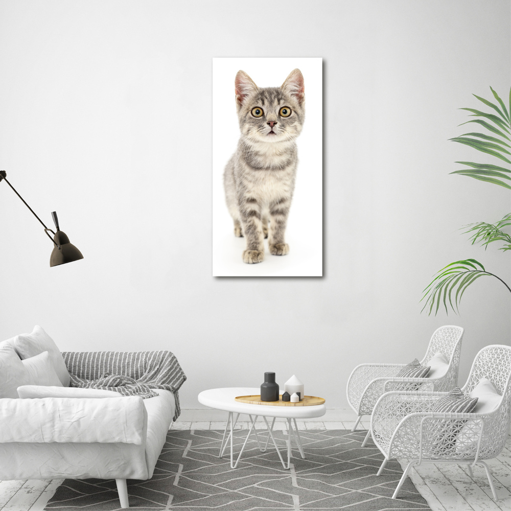 Foto obraz na scianę akrylowy pionowy Szary kot