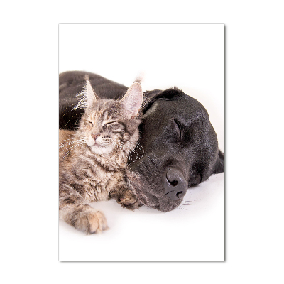 Obraz zdjęcie akryl pionowy Pies i kot