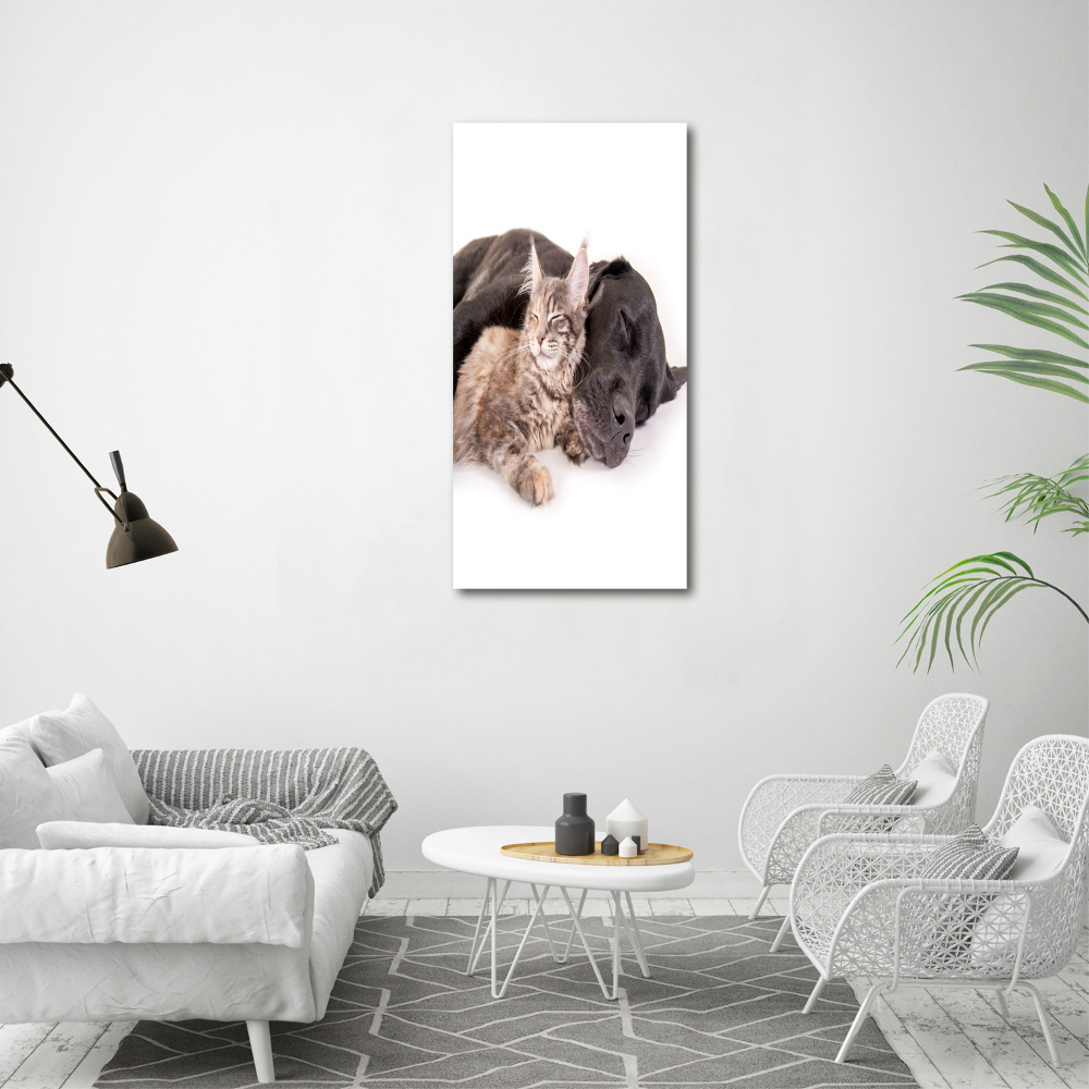 Obraz zdjęcie akryl pionowy Pies i kot