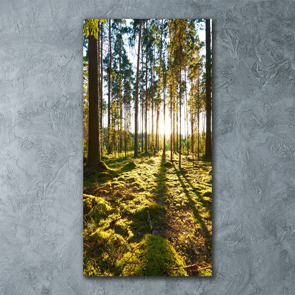Foto obraz szkło akryl pionowy Las sosnowy