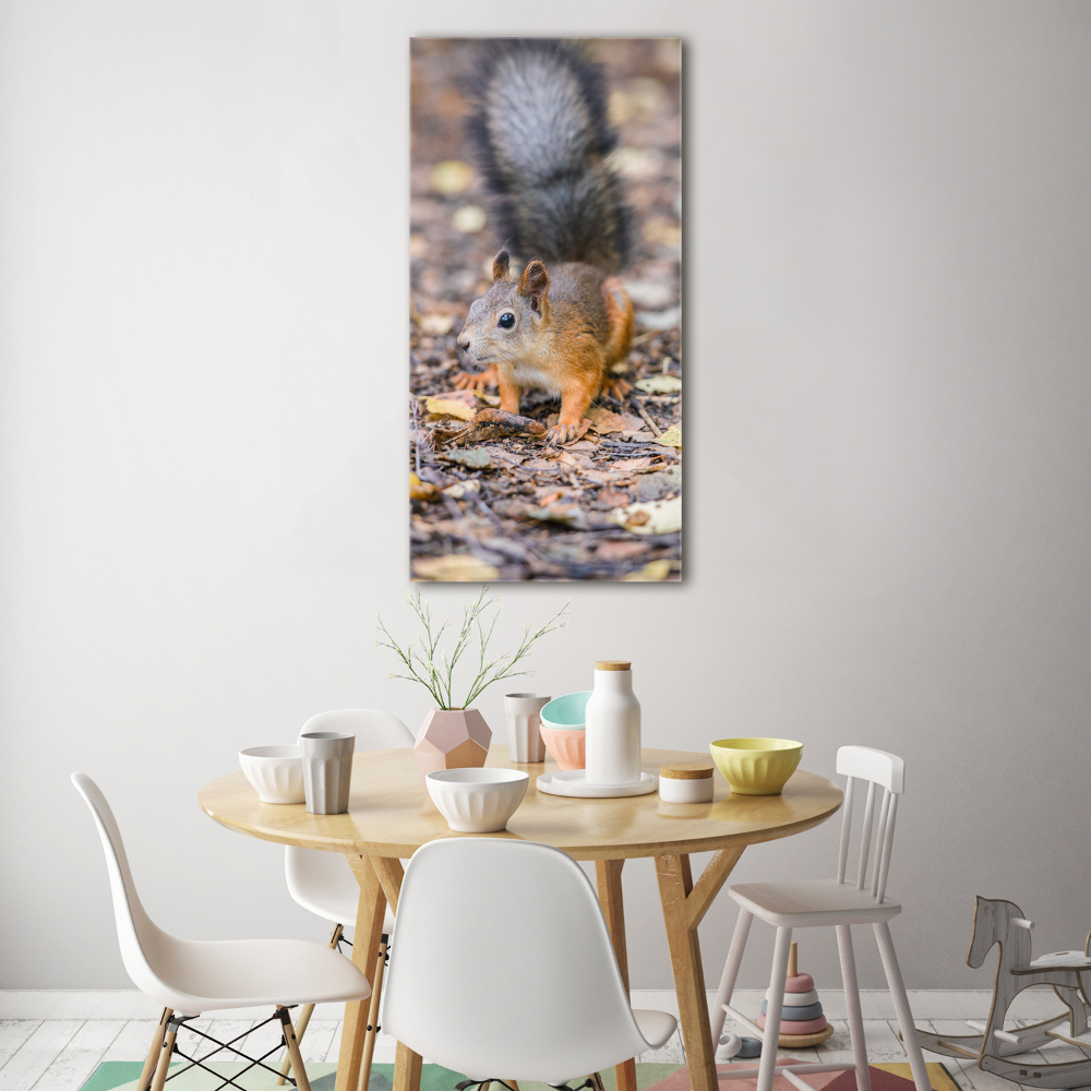 Obraz zdjęcie szkło akryl pionowy Wiewiórka w lesie